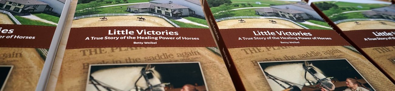 Little Victories: A True Story of the Healing Power of Horses